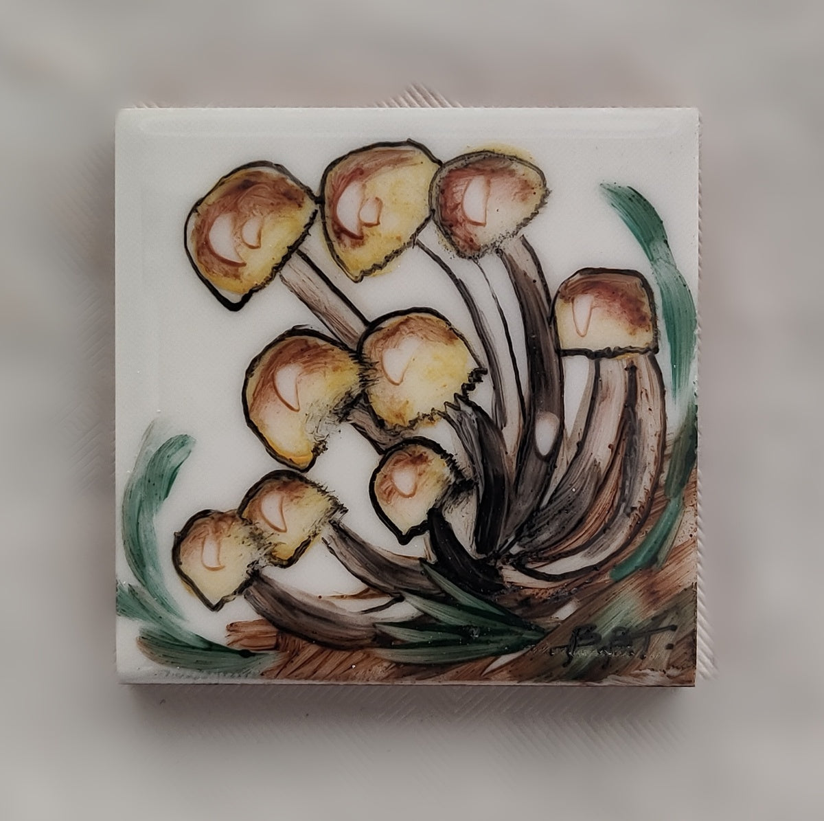 Calamita piccola